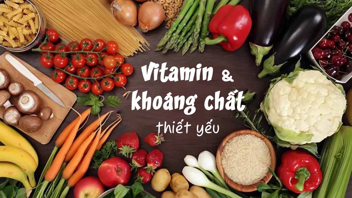 protein và khoáng chất